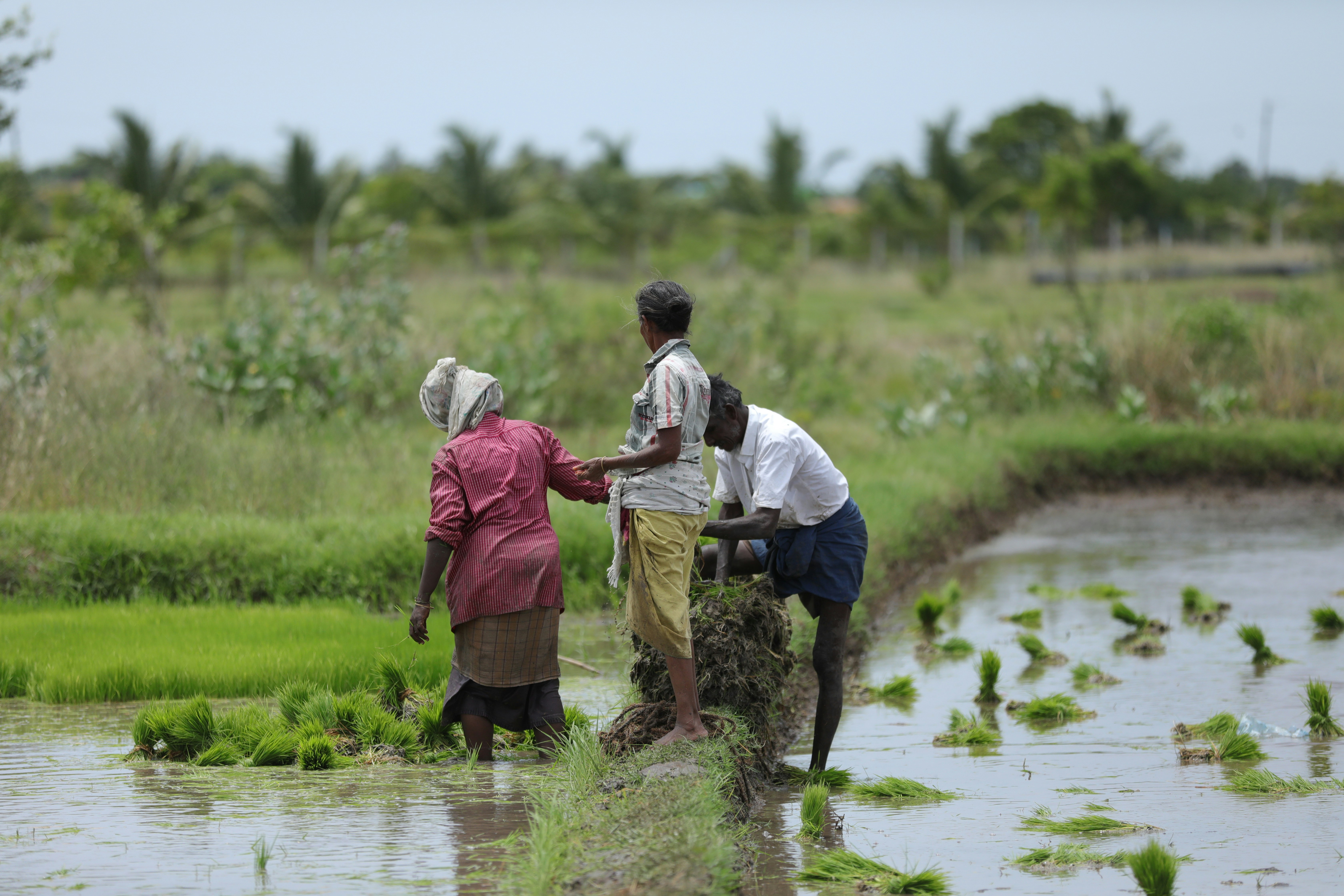 FINHIVE agricultural operations