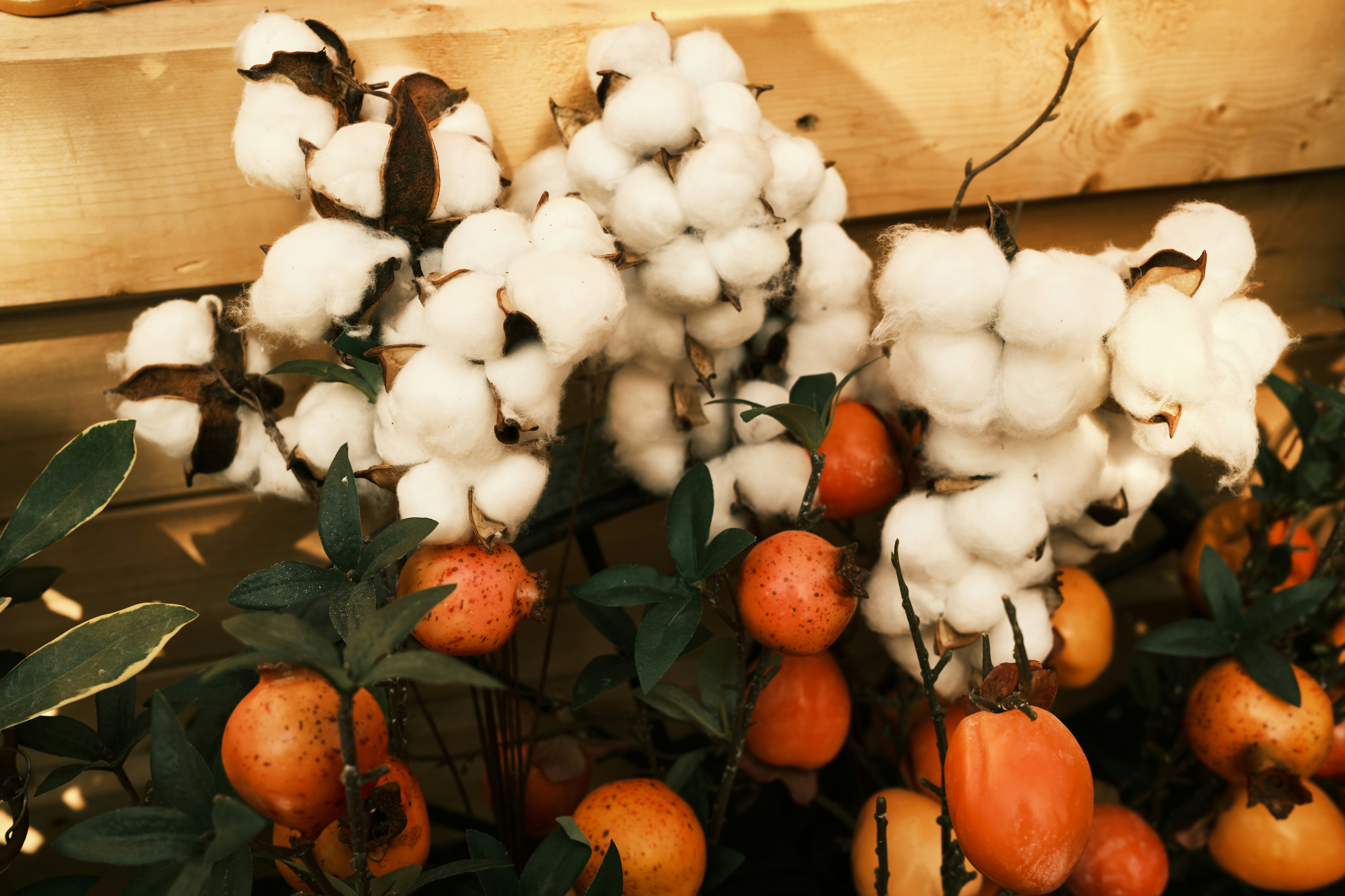 Cotton Lint