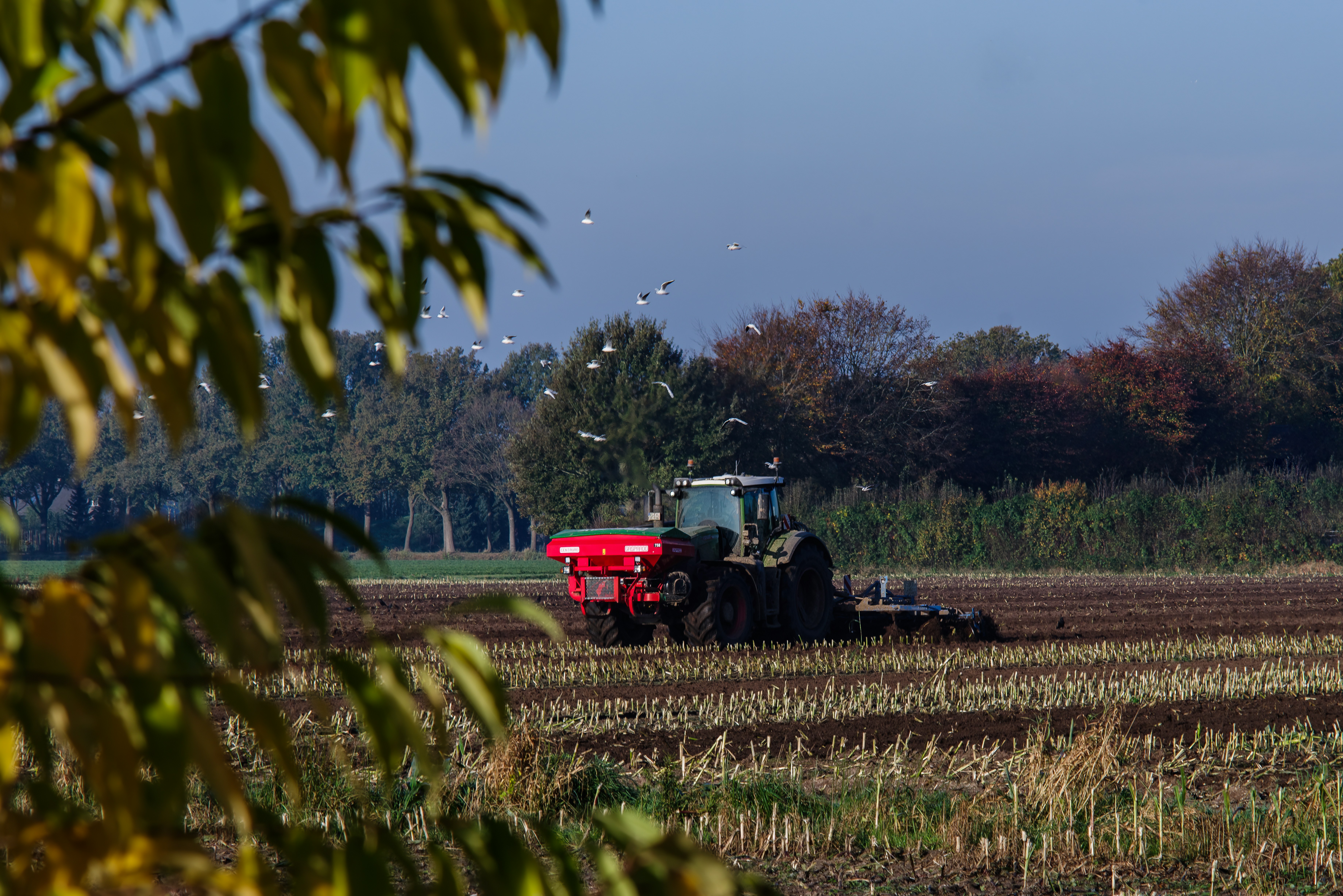 Agricultural products and raw materials