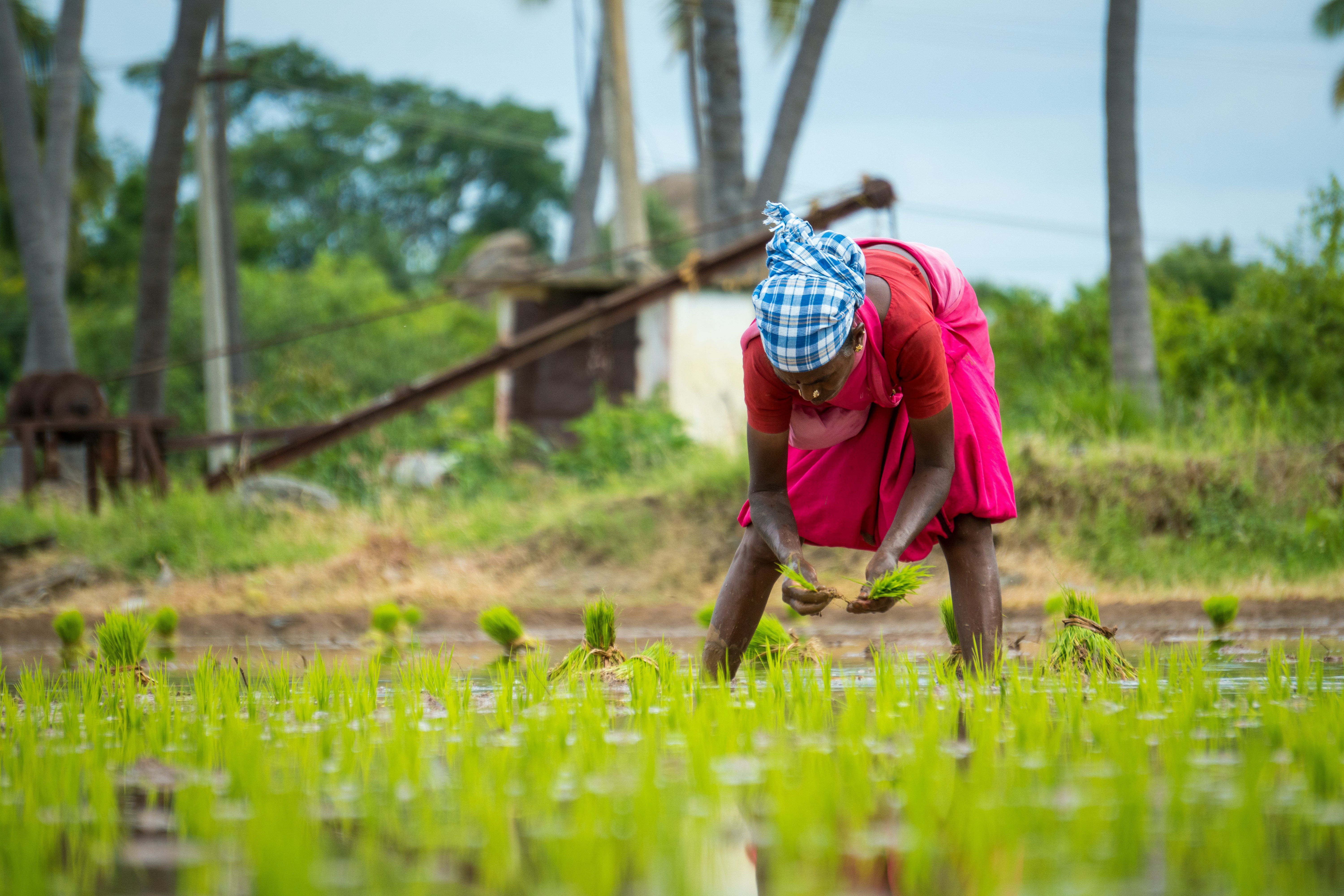 Sustainable farming practices